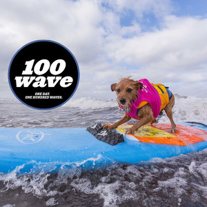Carson Surf Dog